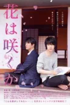 Does the Flower Bloom รอวันดอกไม้ผลิบาน (2018) - ดูหนังออนไลน์