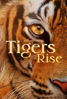 Tiger (2024) - ดูหนังออนไลน์