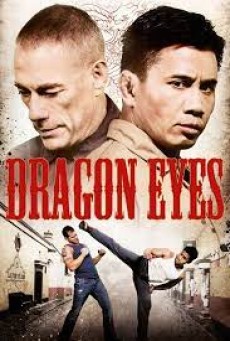 Dragon Eyes (2012) มหาประลัยเลือดมังกร - ดูหนังออนไลน์