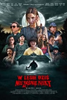 Nobody Sleeps in the Woods Tonight (Netflix) (2020) คืนผวาป่าไร้เงา - ดูหนังออนไลน์