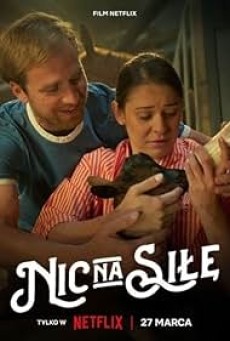No Pressure (2024) รักไม่กดดัน - ดูหนังออนไลน์